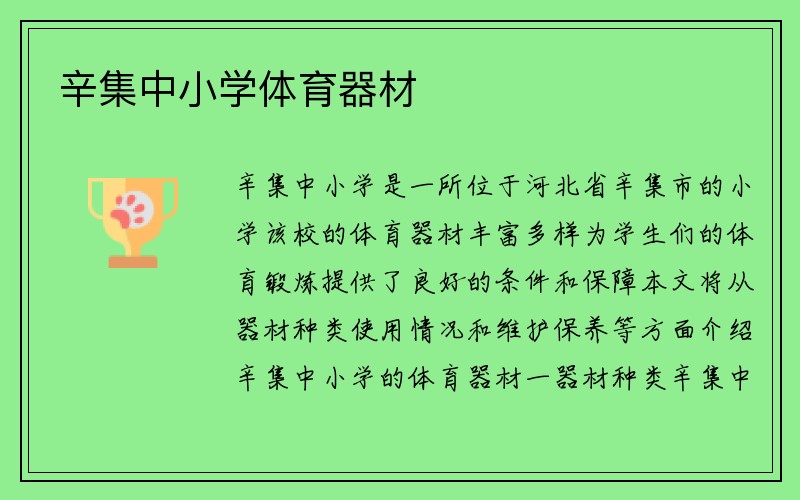 辛集中小学体育器材